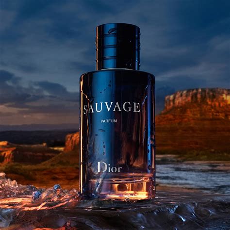 perfume sauvage dior 100ml|dior sauvage perfume shop.